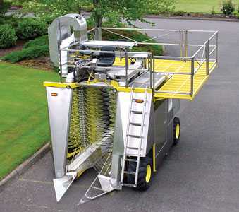 Blueberry Harvesting Made Easy