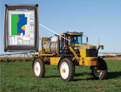 Growers Seek Guidance