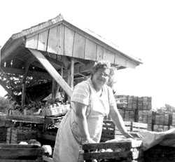 Mason Farms Builds on History, Looks to the Future