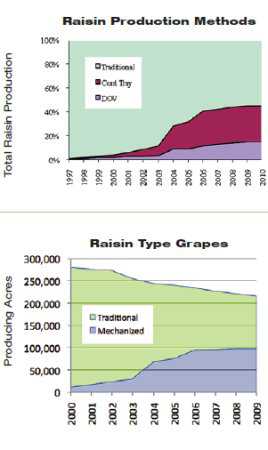 Mechanization Of The Raisin Industry