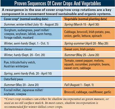 Vegetable Rotation Makes “Cents”