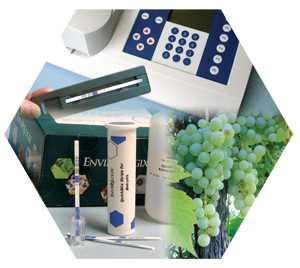 Tools For Winegrape Growers To Beat Botrytis