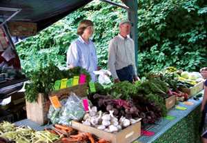 Potential For Profit With Organic Produce