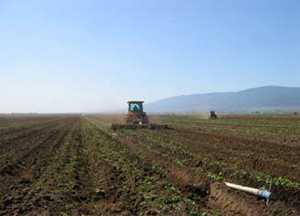 Efficient Irrigation: American Farms