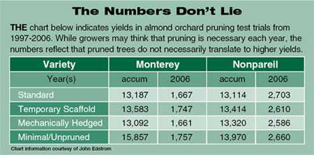 Taking A Hard Look At Whither Pruning Almonds