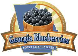 Georgia Emerging As Blueberry Player