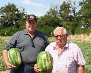 How Third Party Certification Helped Grower Market Melons