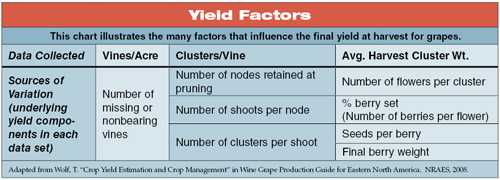 Crop Estimation In Vineyards
