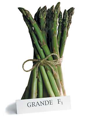 California Asparagus Seed and Transplant, Inc.