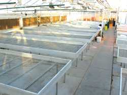 Keep The Greenhouse Clean