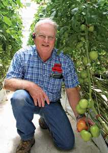 How Hydroponics Helped