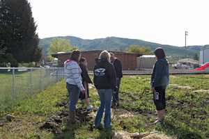 Nurseries To The Rescue