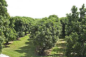 Slideshow: Erickson Farm