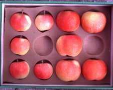 Larger Apples are Possible With ‘Grand Gala’