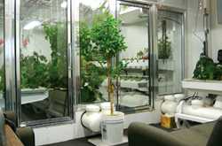 South Pole Food Growth Chamber Farmers Market
