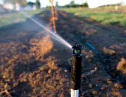 Food Safety Water Rules Getting Stricter
