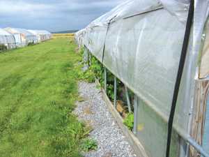 Inner Cities Utilizing High Tunnels