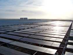 Growers Need To Embrace The Energy Revolution