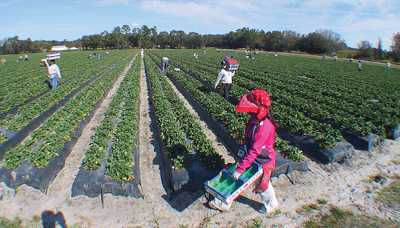United Fresh Urges Congress To Act On Immigration Reform