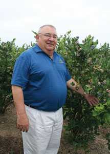 Blueberry Growers Watching Out For Overplanting
