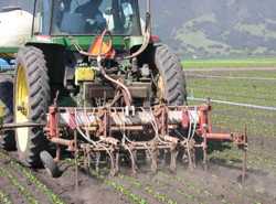 Guiding Cultivators Offer Cost Savings To Growers