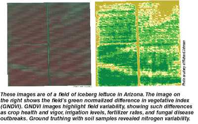 Ground Truthing When It Comes To Aerial Images