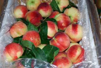Wawona Packing Expands Recall Of Stone Fruit