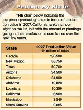 Pecans May Be An Alternative Nut Crop In California
