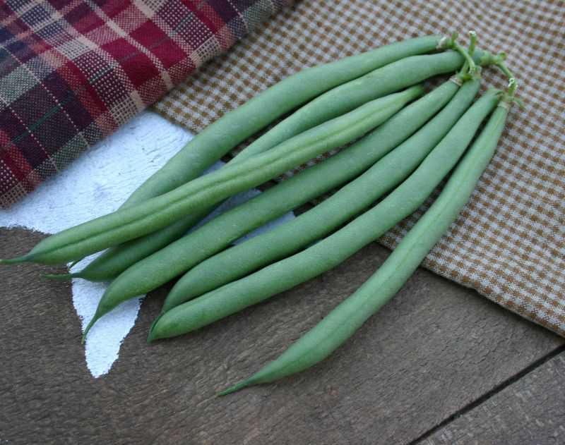 Variety File: Seedway LLC