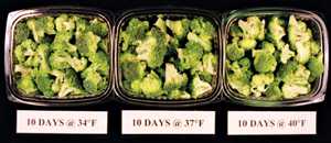Maintaining Vegetable Nutritional Quality