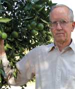 Windbreaks Work For Florida Citrus Grower