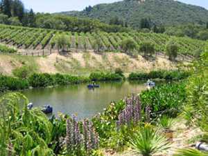 California Winegrowers Lose Court Battle Over Frost Protection