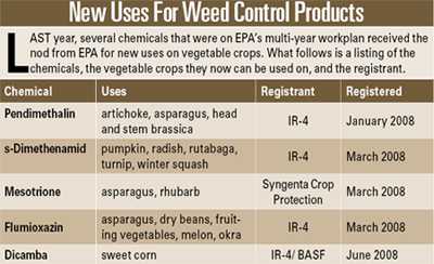 Find the Right Products to Fight Weeds