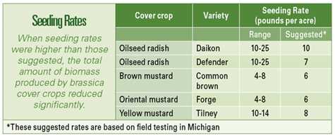 The Organic Report: The Potential Of Brassica