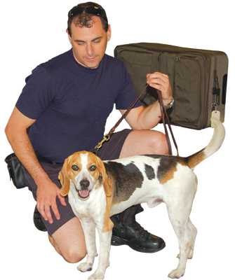 Beagle Brigade: Sniffing Out Invasive Pests