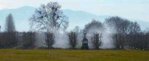 Spray Technology In The Nut Orchard