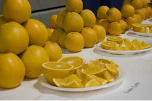 Here’s Your Chance To Size Up New Citrus