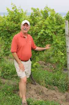 Growing Cool-Climate Winegrapes Sustainably