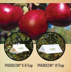 Combo Pheremone Control For Fruit Growers
