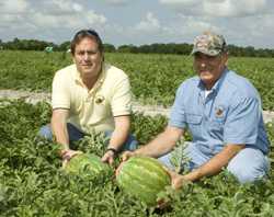Hearne Produce Grows By Meeting Demand