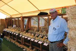 Vegetable Varieties From Across The Country
