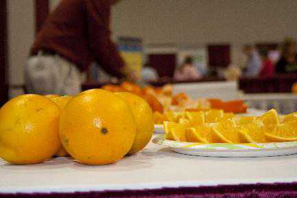 HLB Solutions Lead Agenda At 2014 Florida Citrus Show