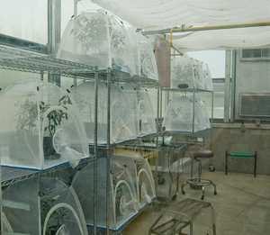 USDA Creates Foundation To Gather Research Funds