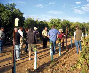 National Grape And Wine Show Slated For Texas