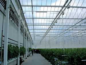 Experiencing HortiFair