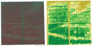 Ground Truthing Through Precision Ag
