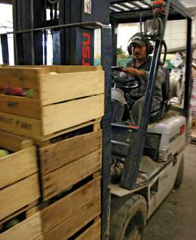 Preventing Noise-Induced Hearing Loss