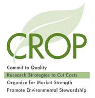 Reducing Fertilizer Costs In Blueberries