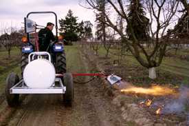 Using Propane For Weed Control