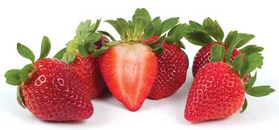Scientists Strive To Safeguard Strawberries